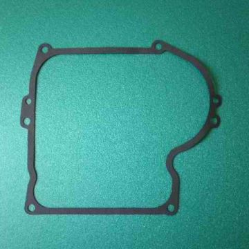 Garnitura carter BRIGGS & STRATTON - ER5401286