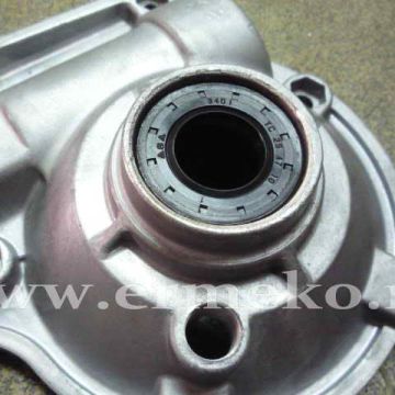 Simering motosapa FK9079 - 25x47x10