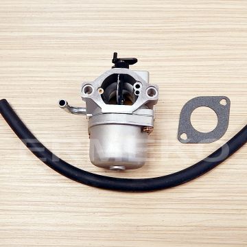 Carburator motor BRIGGS & STRATTON  590399, 794653, 593432, 794308, 790021, 790022, 791266, 793227, 794215