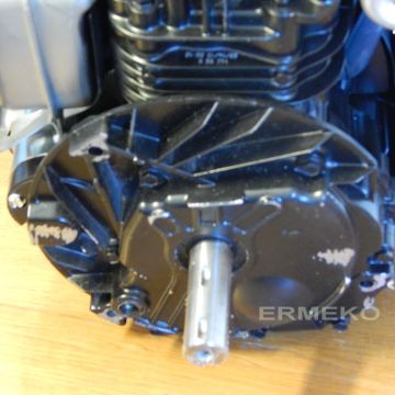 Motor Briggs&Stratton 8.75 professional series
