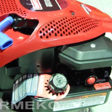 Motor Briggs&Stratton Silver 5.50 series