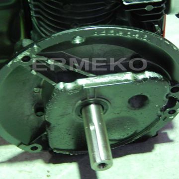 Motor Briggs&Stratton Silver 5.50 series