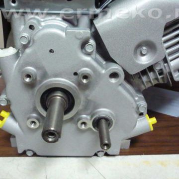 Motor Briggs&Stratton 800 series