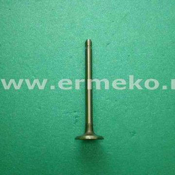 Supapa evacuare BRIGGS & STRATTON 390419 - ER5707054