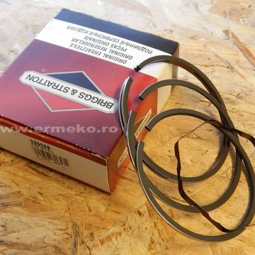 Set segmenti STD BRIGGS & STRATTON - 299089