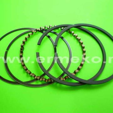 Set segmenti STD motor BRIGGS & STRATTON 499996 - ER5707146