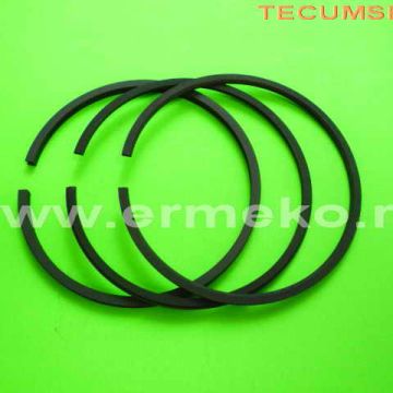 Set segmenti TECUMSEH Ø 71 mm - ER100089-71
