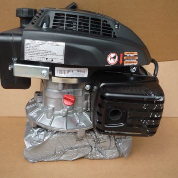 Motor Homelite RV170
