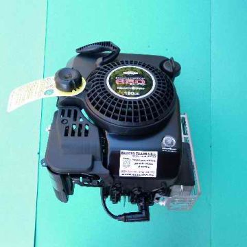 Motor Briggs&Stratton 650 series - ER-B&S6/190