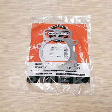 Garnitura chiuloasa BRIGGS & STRATTON 796851