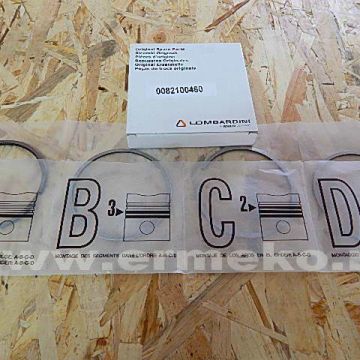 Set segmenti Ø 80mm STD LOMBARDINI LDA80, LA80 - 8210046