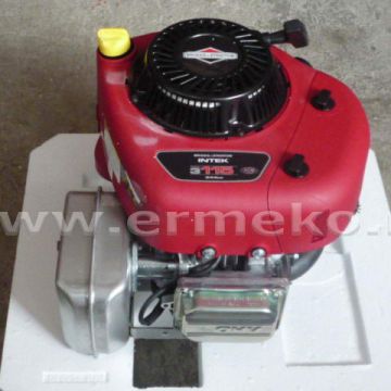 Motor Briggs&Stratton Intek 344cc