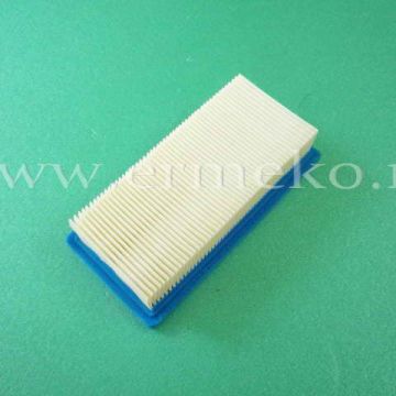 Filtru de aer - BRIGGS & STRATTON 491384