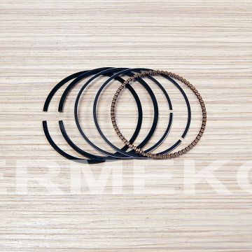 Set segmenti STD - 68.30mm BRIGGS & STRATTON 499425 - ER-B&S104-68,30