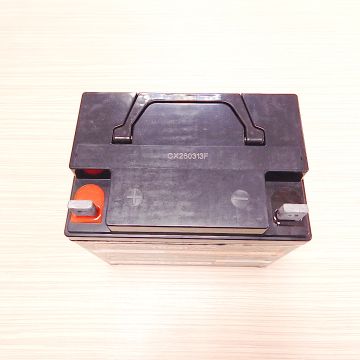 Acumulator gel (AGM) EVEREST BATTERY 12V - 32AH - 320A - / +/- - ER21-06010