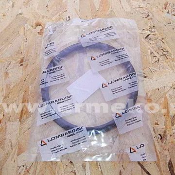 Garnitura la filtru de aer LOMBARDINI 4775120 - 4775120