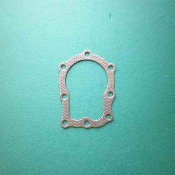 Garnitura chiuloasa - BRIGGS & STRATTON - ER5401298