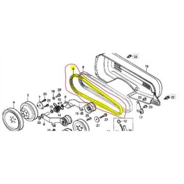 Curea de transmisie motosapa HONDA F600, HONDA F800 - 22431727642
