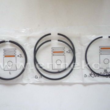 Set segmenti STD LOMBARDINI LDA530, LDA532, LDA533, LDA535, LDA537, 6LD360 - 8210086