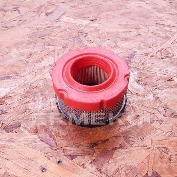 Filtru de aer BRIGGS & STRATTON 797819 - 797819