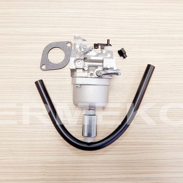 Carburator motor BRIGGS & STRATTON 593433, 699916, 794294