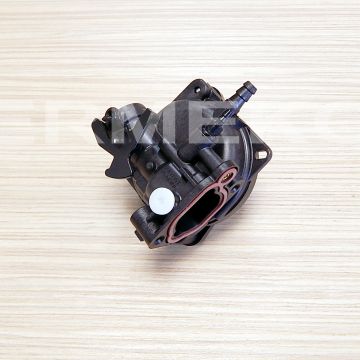 Carburator motor BRIGGS & STRATTON 591110 - 591110