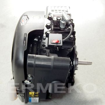 Motor BRIGGS & STRATTON 6CP - 190cc - cu ax vertical, conic