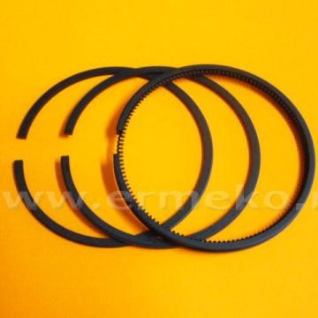Set segmenti STD BRIGGS & STRATTON - 699658