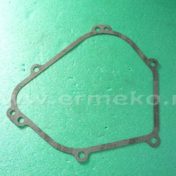 Garnitura carter BRIGGS & STRATTON 699485 - 699485