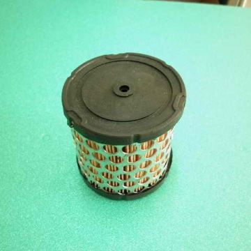 Filtru de aer motor BRIGGS & STRATTON 396424 - ER4100227