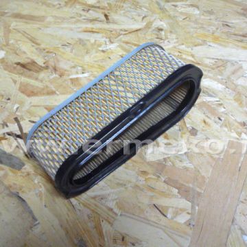Filtru de aer - BRIGGS & STRATTON 691667, 493910