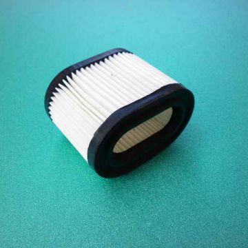 Filtru de aer TECUMSEH  LEV115, LEV120, modelele Centura