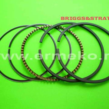 Set segmenti STD BRIGGS & STRATTON - ER100092-65,10