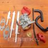 Carburator BRIGGS & STRATTON 590907, 798918, 794588, 594014