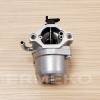 Carburator motor BRIGGS&STRATTON 593432, 790020, 794653, 794308, 790022, 698772, 794215, 791178, 793227, 790021, 791266, 790019