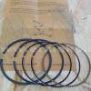 Set segmenti BRIGGS & STRATTON