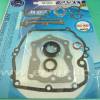 Set garnituri motor BRIGGS & STRATTON 496117, 493263, 497316