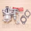 Carburator motor BRIGGS & STRATTON 799060, 84004885