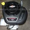 Motor Briggs&Stratton 10.5 CP