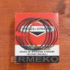 Set segmenti STD BRIGGS & STRATTON 09P602, 09P702 - 590523