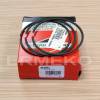 Set segmenti BRIGGS & STRATTON 694004