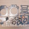 Set garnituri - BRIGGS & STRATTON 592174, 799496