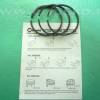 Set segmenti BRIGGS & STRATTON