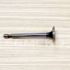 Supapa evacuare BRIGGS & STRATTON 499642