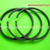 Set segmenti STD BRIGGS & STRATTON