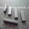 Pana volanta motor TECUMSEH