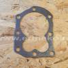 Garnitura chiuloasa BRIGGS & STRATTON 698717, 272536S, 272170, 270341, 272536