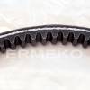 Curea de transmisie motosapa HONDA F600, HONDA F800 - 22431727642