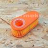 Filtru de aer motor BRIGGS & STRATTON 795066