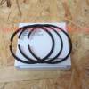 Set segmenti STD Ø 80mm motor ACME ALN330W